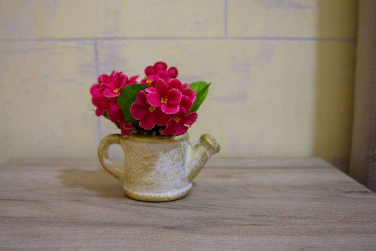 Apartman Dijana Kotor Bagian luar foto